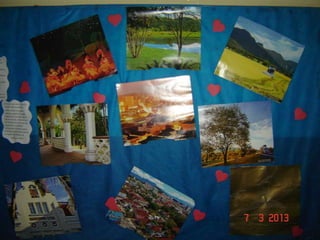 Joinville   ana lucia