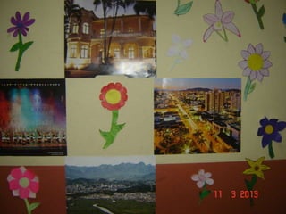 Joinville   ana lucia