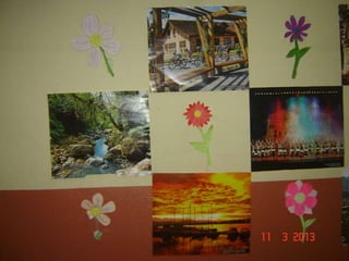 Joinville   ana lucia