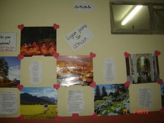 Joinville   ana lucia