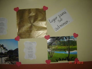 Joinville   ana lucia