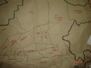 Joinville   ana lucia