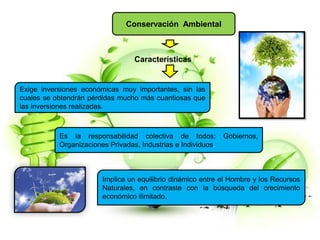 Conservación Ambiental
Exige inversiones económicas muy importantes, sin las
cuales se obtendrán pérdidas mucho más cuantiosas que
las inversiones realizadas.
Características
Es la responsabilidad colectiva de todos: Gobiernos,
Organizaciones Privadas, Industrias e Individuos.
Implica un equilibrio dinámico entre el Hombre y los Recursos
Naturales, en contraste con la búsqueda del crecimiento
económico ilimitado.
 