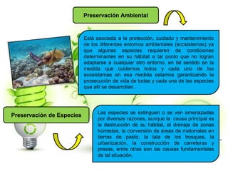 Preservación Ambiental
Está asociada a la protección, cuidado y mantenimiento
de los diferentes entornos ambientales (ecosistemas) ya
que algunas especies requieren de condiciones
determinantes en su hábitat a tal punto que no logran
adaptarse a cualquier otro entorno, en tal sentido en la
medida que cuidemos todos y cada uno de los
ecosistemas en esa medida estamos garantizando la
prosecución de vida de todas y cada una de las especies
que allí se desarrollan.
Preservación de Especies Las especies se extinguen o se ven amenazadas
por diversas razones, aunque la causa principal es
la destrucción de su hábitat, el drenaje de zonas
húmedas, la conversión de áreas de matorrales en
tierras de pasto, la tala de los bosques, la
urbanización, la construcción de carreteras y
presas, entre otras son las causas fundamentales
de tal situación.
 