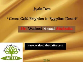 Jojoba Trees
“ Green Gold Brighten in Egyptian Desert”
Dr. Waleed Fouad Abobatta
www.waleedabobatta.com
2016
 