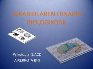 JOKABIDEAREN OINARRI
    BIOLOGIKOAK



Psikologia 1.ACD
 AIXERROTA BHI
 