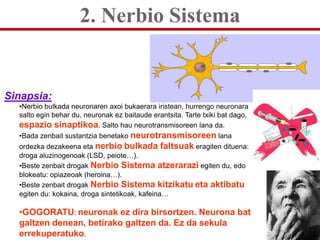 2. Nerbio Sistema


Sinapsia:
  •Nerbio bulkada neuronaren axoi bukaerara iristean, hurrengo neuronara
  salto egin behar ...