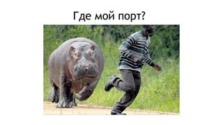 Где мой порт?
 