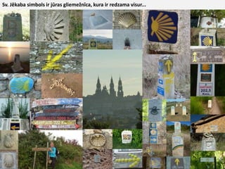 Sv. Jēkaba simbols ir jūras gliemežnīca, kura ir redzama visur...