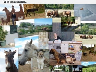 Ko tik ceļā nesastapsi...