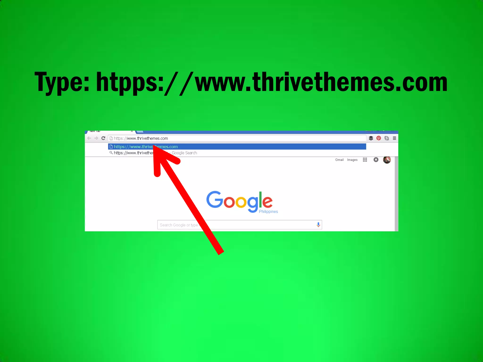 Type: htpps://www.thrivethemes.com
 