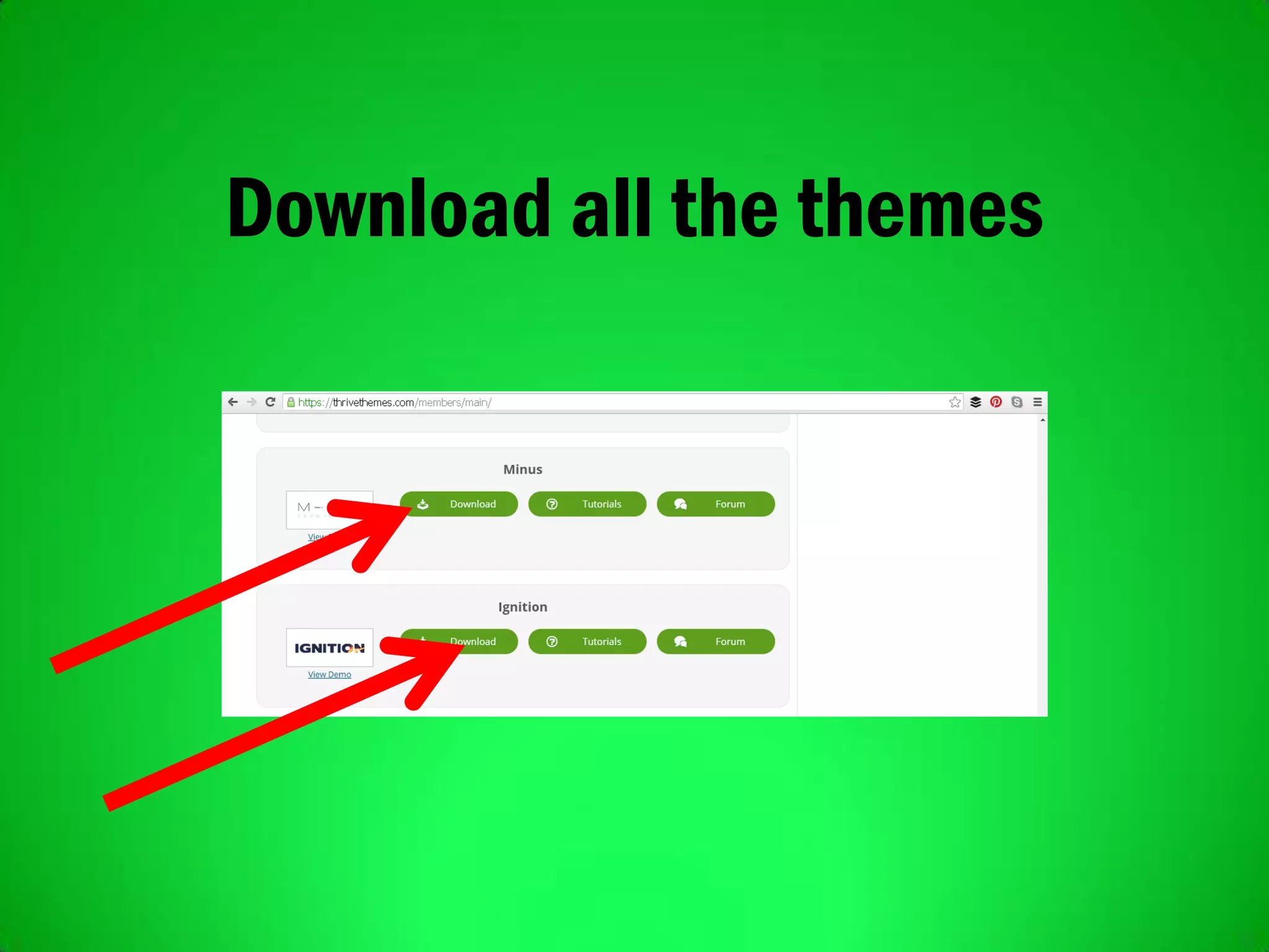 Download all the themes
 