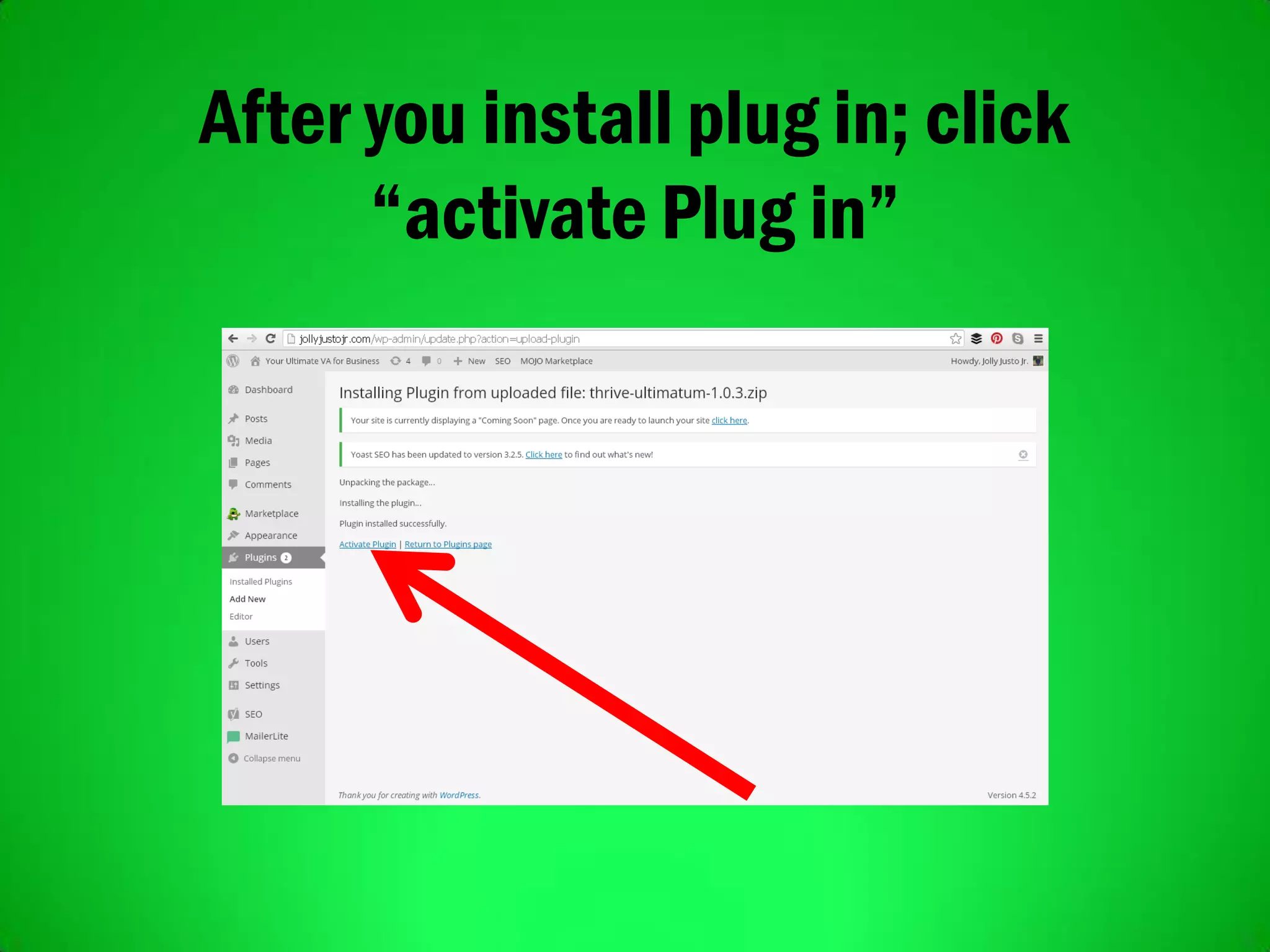 After you install plug in; click
“activate Plug in”
 