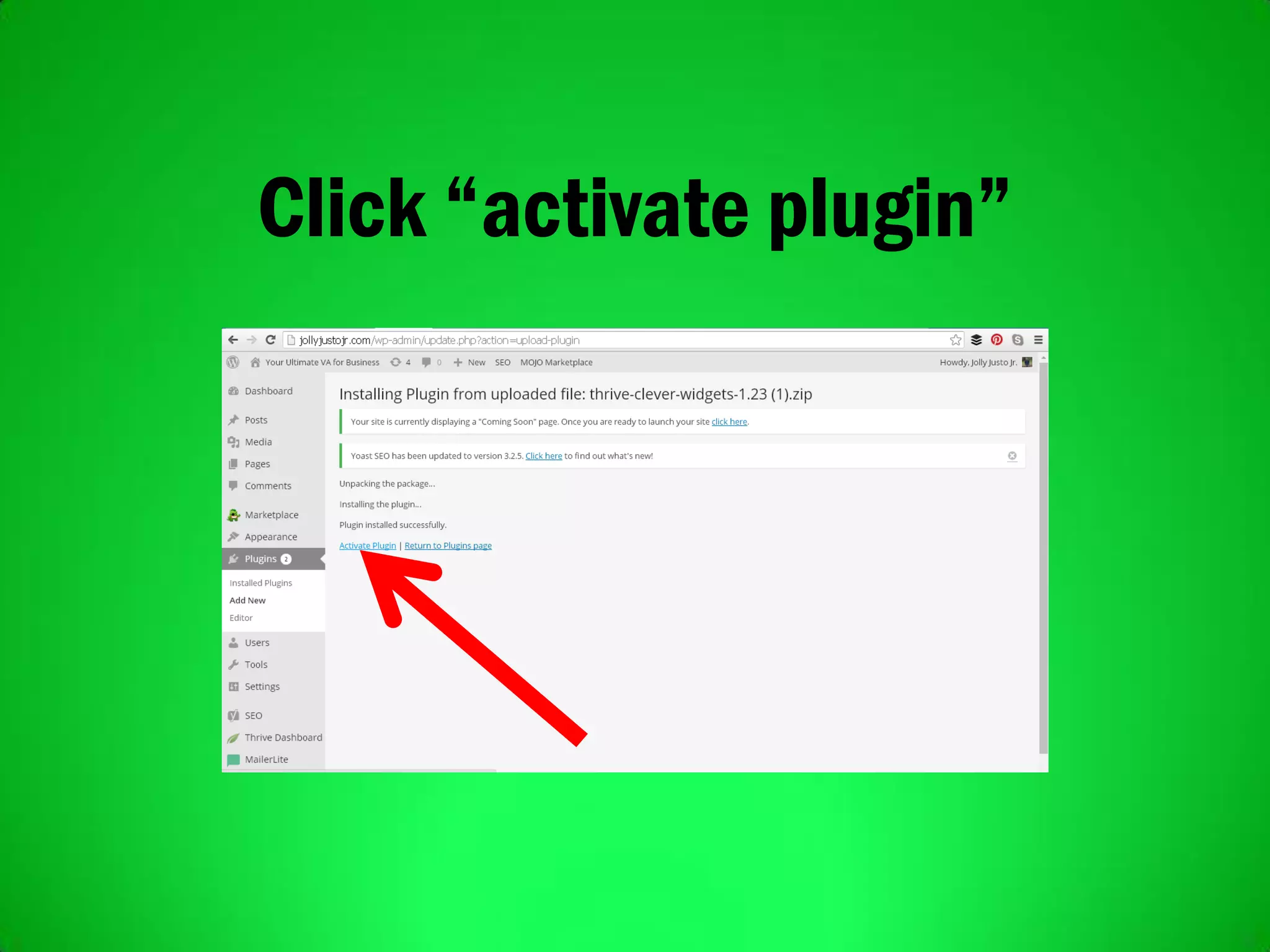 Click “activate plugin”
 