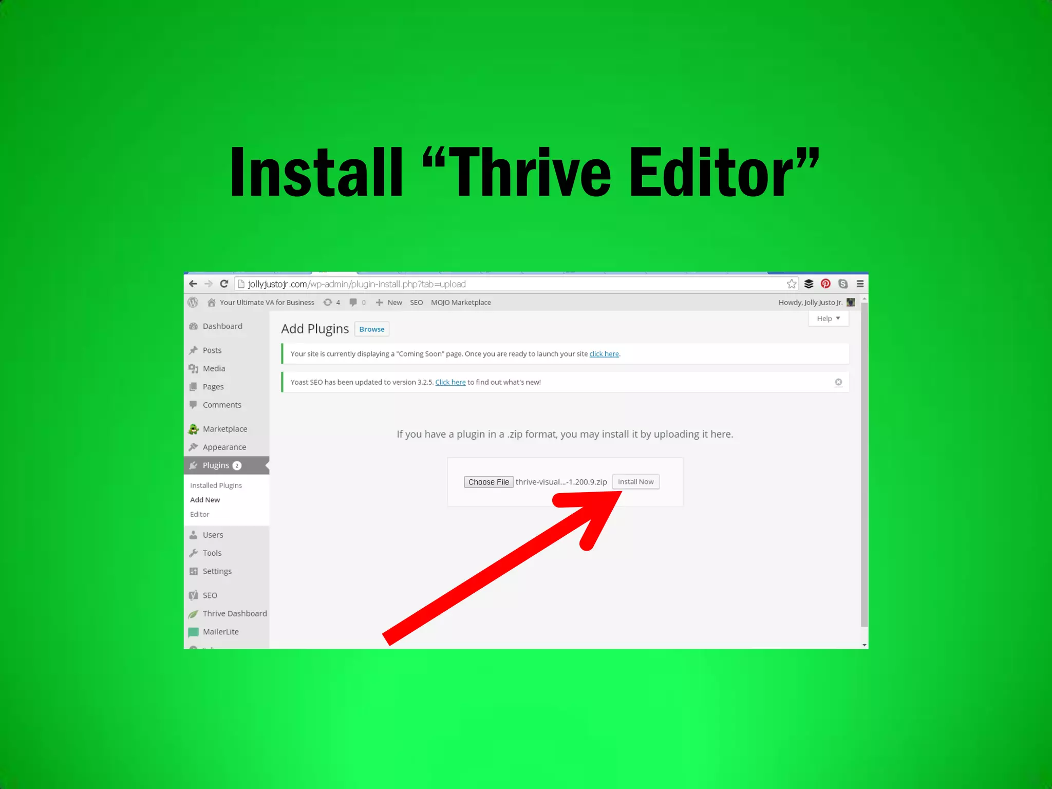 Install “Thrive Editor”
 