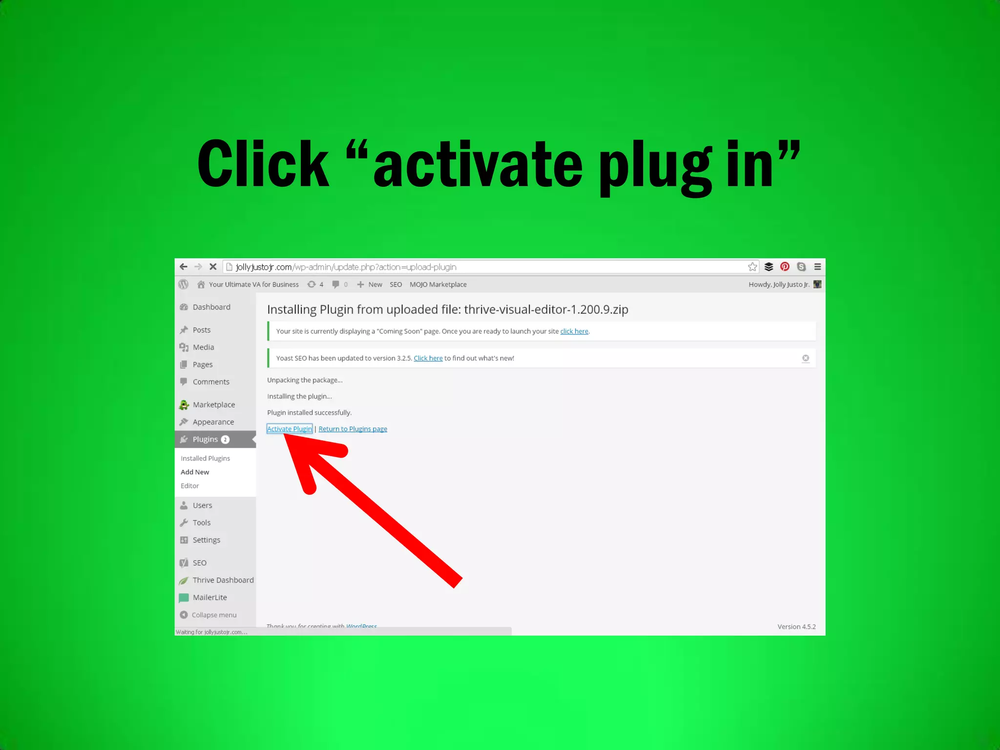 Click “activate plug in”
 