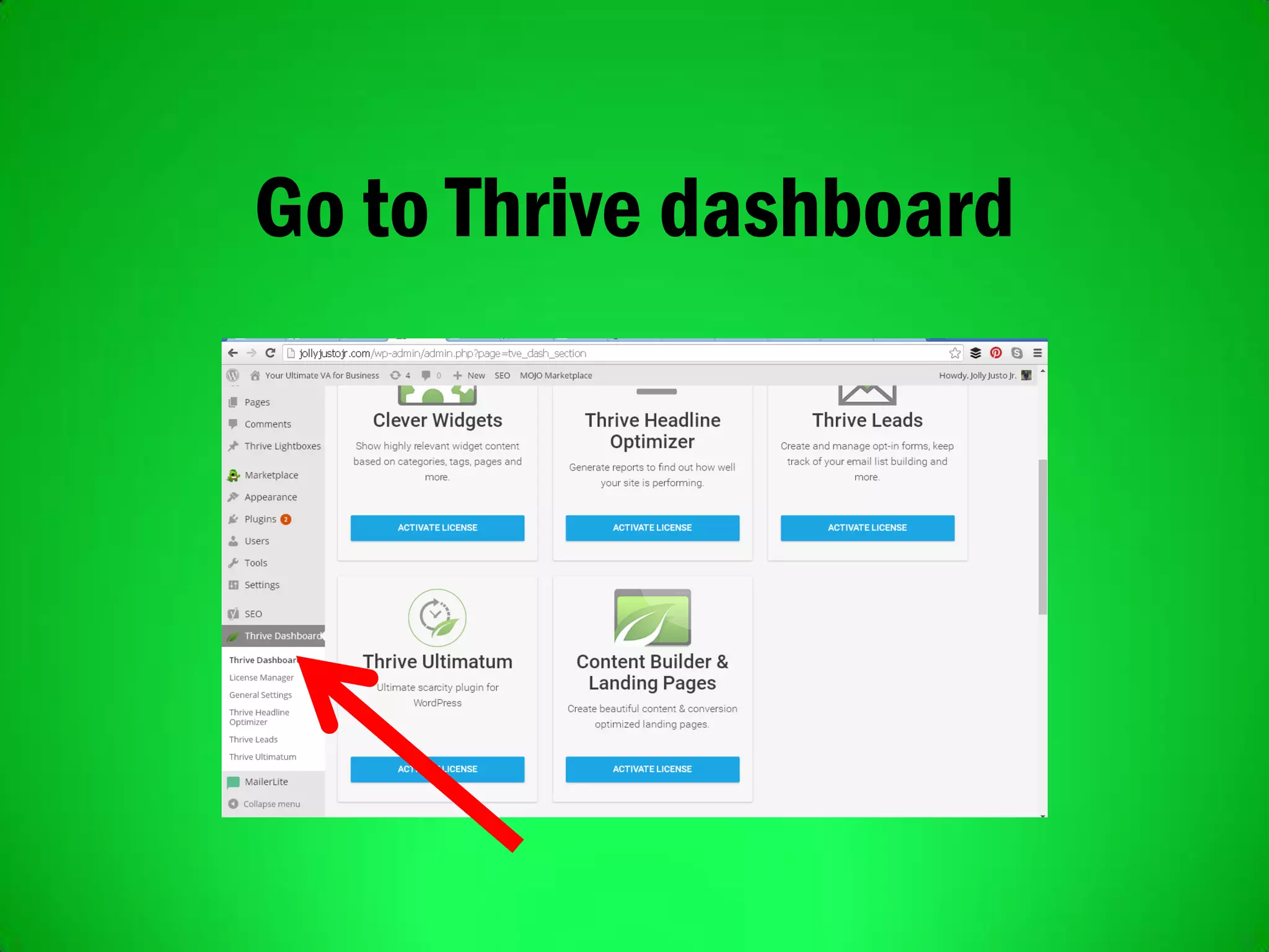 Go to Thrive dashboard
 