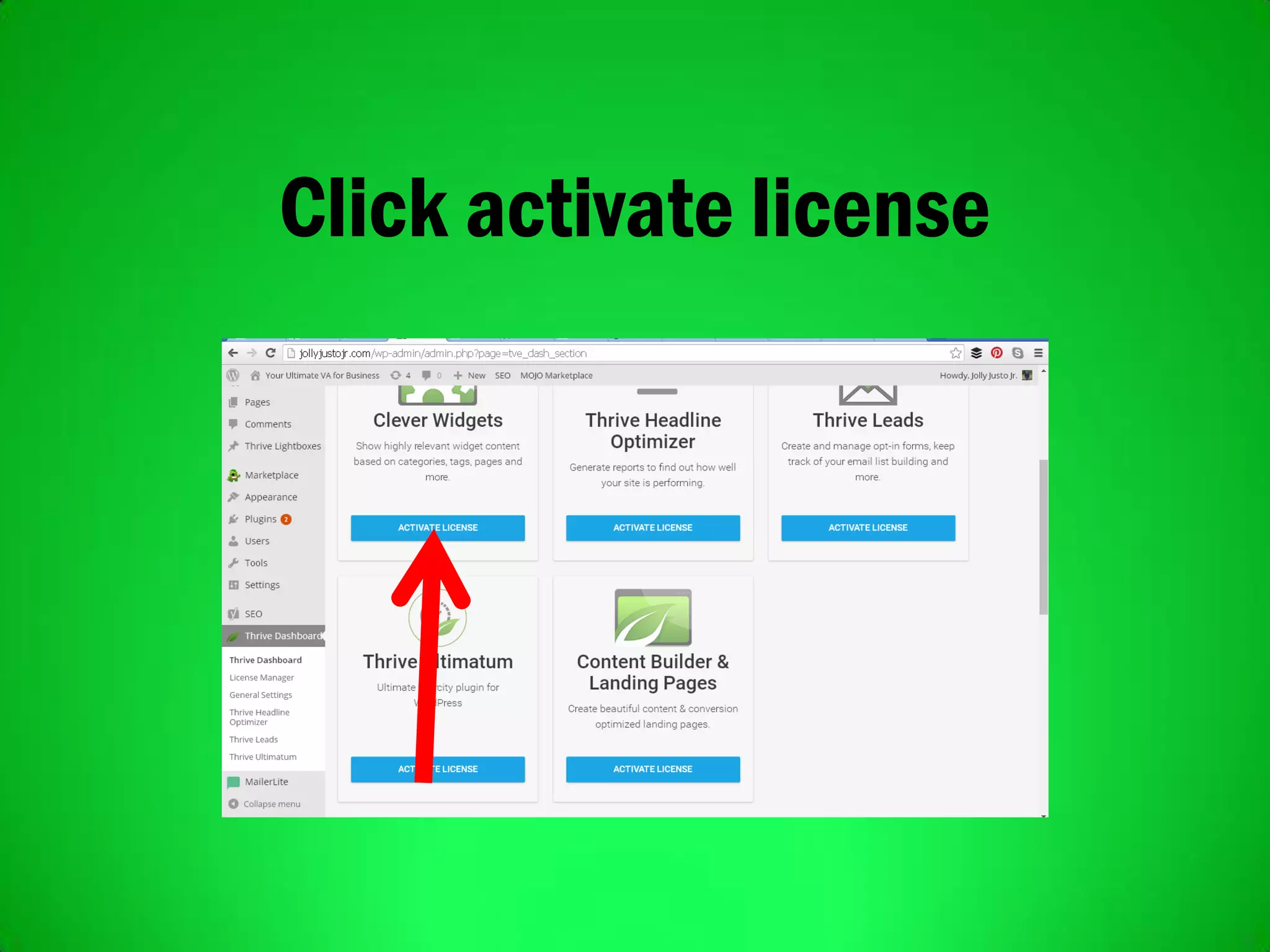 Click activate license
 