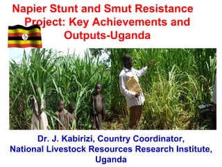 Napier Stunt and Smut Resistance Project:  Key Achievements and Outputs- Uganda Presented at the ASARECA/ILRI Workshop on Mitigating the Impact of Napier Grass Smut and Stunt Diseases, Addis Ababa, June 2-3, 2010 Dr. J. Kabirizi, Country Coordinator, National Livestock Resources Research Institute, Uganda 