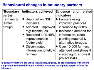 Napier Stunt and Smut Resistance Project: key achievements and outputs in Uganda