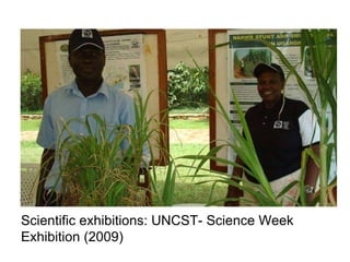Napier Stunt and Smut Resistance Project: key achievements and outputs in Uganda