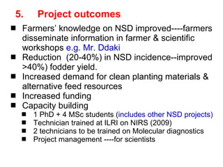 Napier Stunt and Smut Resistance Project: key achievements and outputs in Uganda