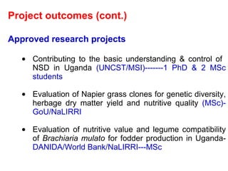 Napier Stunt and Smut Resistance Project: key achievements and outputs in Uganda