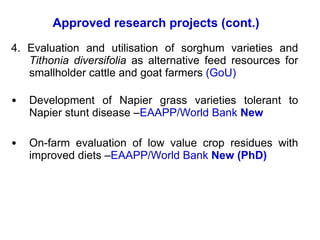 Napier Stunt and Smut Resistance Project: key achievements and outputs in Uganda