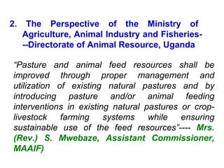 Napier Stunt and Smut Resistance Project: key achievements and outputs in Uganda