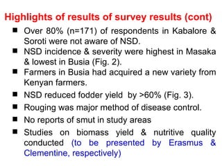 Napier Stunt and Smut Resistance Project: key achievements and outputs in Uganda