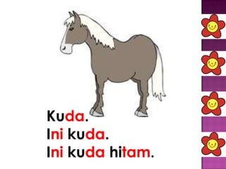 Kuda.
Ini kuda.
Ini kuda hitam.