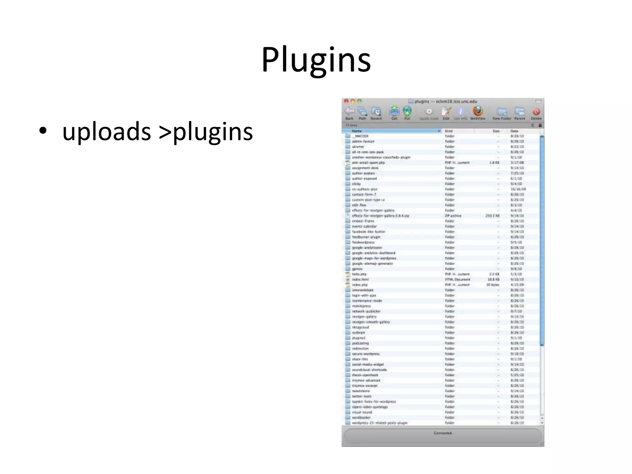 Pluginsuploads > plugins