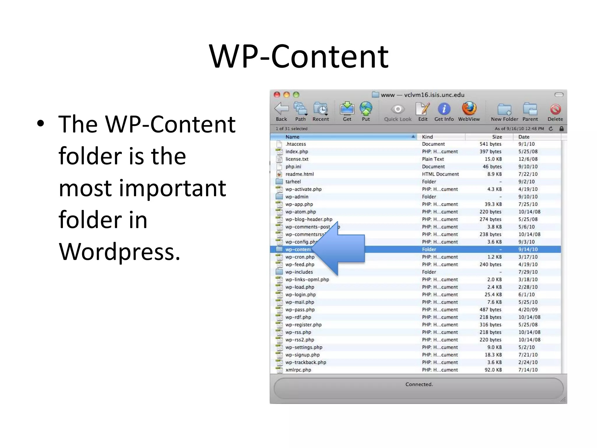 WP-ContentThe WP-Content folder is the most important folder in Wordpress.