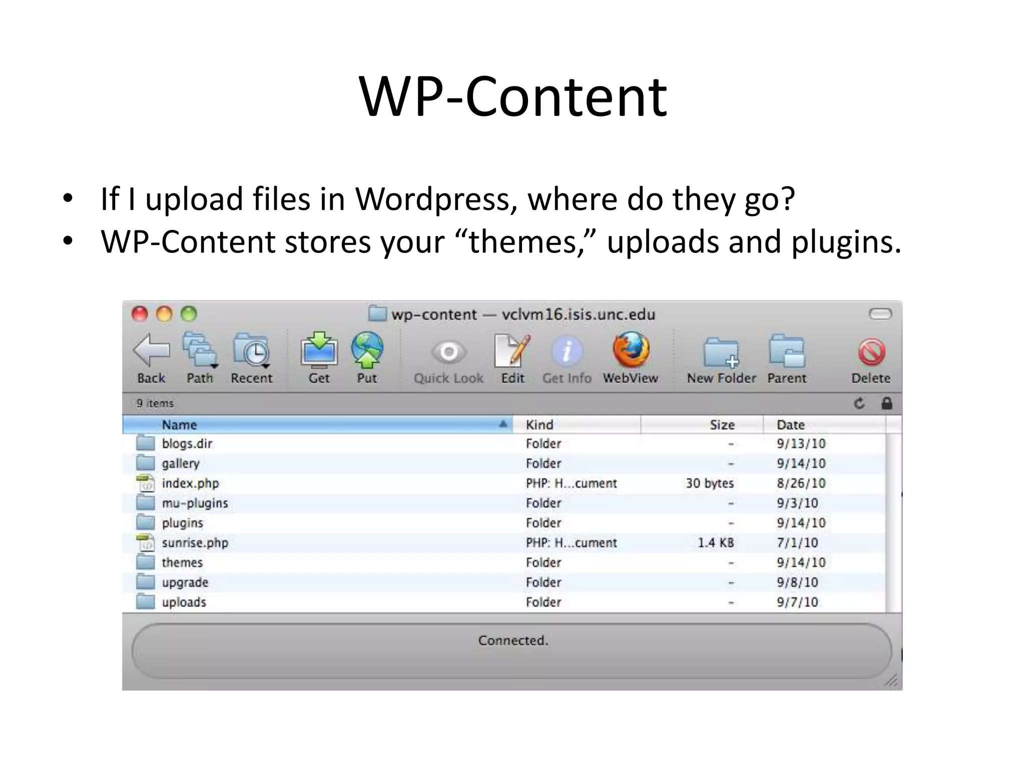 WP-ContentIf I upload files in Wordpress, where do they go?WP-Content stores your “themes,” uploads and plugins.