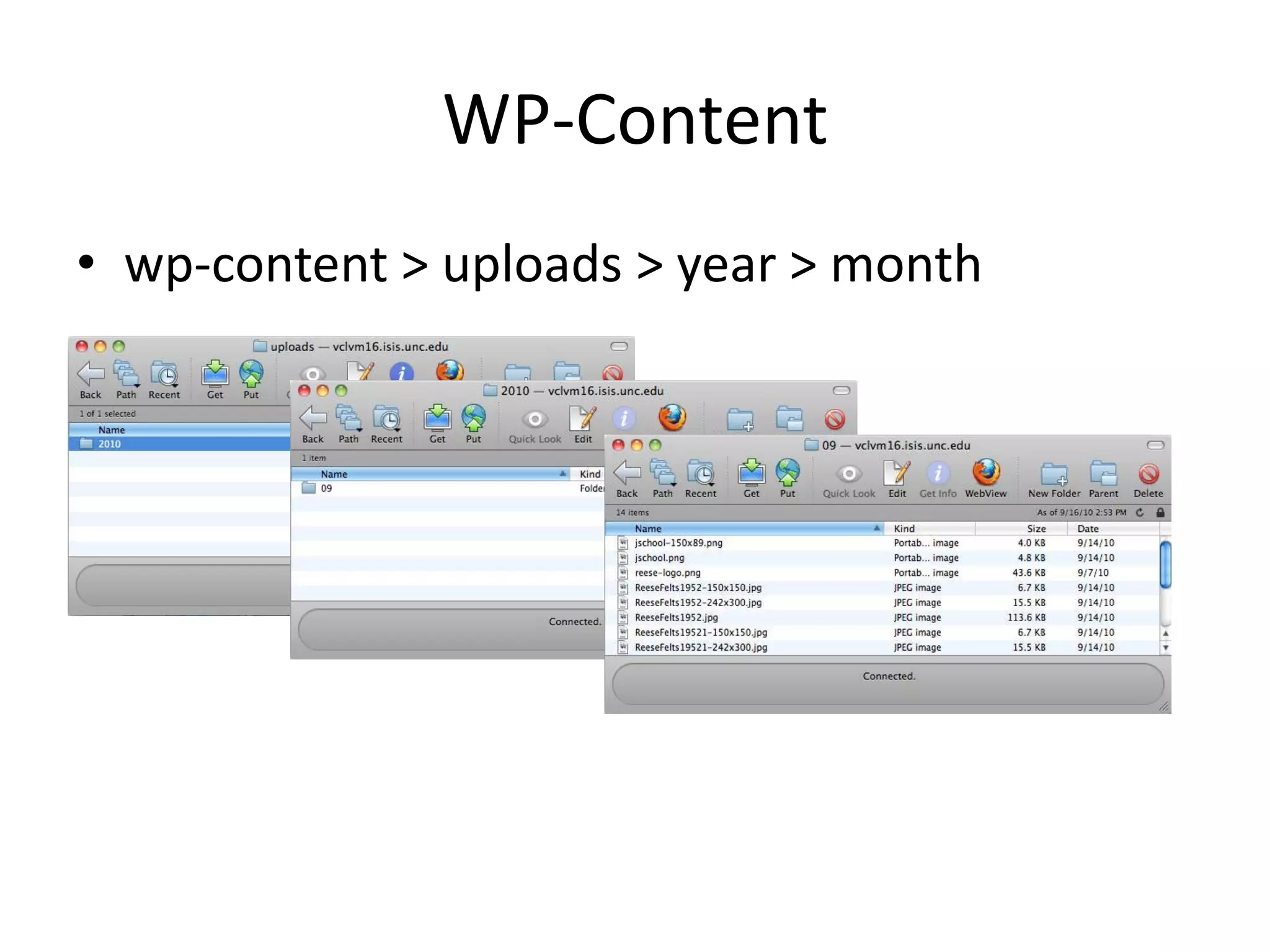 WP-Contentwp-content > uploads > year > month