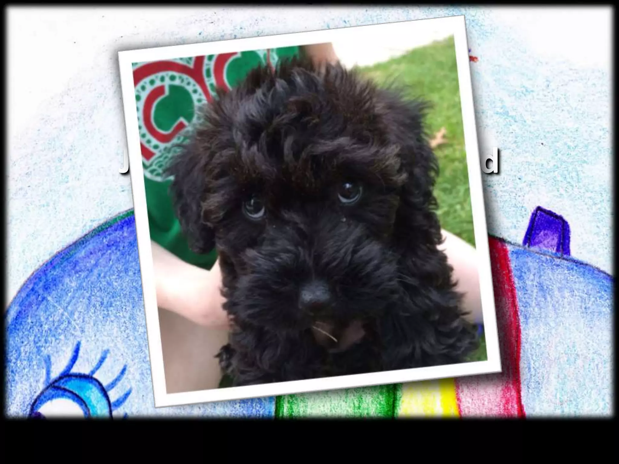 Jonah Had a Heightened
Fear of the Lord