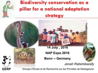 Biodiversity conservation as a
pillar for a national adaptation
strategy
14 July , 2016
NAP Expo 2016
Bonn -- Germany
Jonah Ratsimbazafy
Groupe d’Etude et de Recherche sur les Primates de Madagascar
 