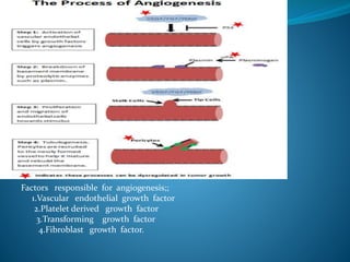 Factors responsible for angiogenesis;;
1.Vascular endothelial growth factor
2.Platelet derived growth factor
3.Transforming growth factor
4.Fibroblast growth factor.
 