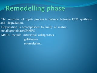 .The outcome of repair process is balance between ECM synthesis
and degradation.
.Degradation is accomplished by family of matrix
metalloproteinases(MMPs)
.MMPs include interstitial collagenases
gelatinases
stromelysins…
 