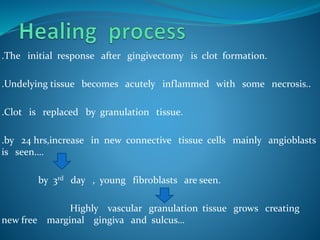 .The initial response after gingivectomy is clot formation.
.Undelying tissue becomes acutely inflammed with some necrosis..
.Clot is replaced by granulation tissue.
.by 24 hrs,increase in new connective tissue cells mainly angioblasts
is seen….
by 3rd day , young fibroblasts are seen.
Highly vascular granulation tissue grows creating
new free marginal gingiva and sulcus…
 