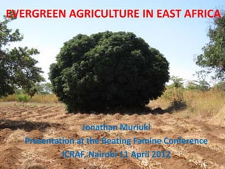 EVERGREEN AGRICULTURE IN EAST AFRICA




                 Jonathan Muriuki
   Presentation at the Beating Famine Conference
            ICRAF, Nairobi 11 April 2012
 