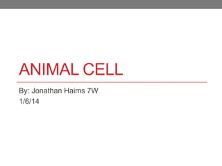 ANIMAL CELL
By: Jonathan Haims 7W
1/6/14

 