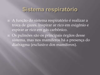 Sistema respiratórioA função do sistema respiratório é realizar a troca de gazes. Inspirar ar rico em oxigênio e espirar ar rico em gás carbônico.Os pulmões são os principais órgãos desse sistema, mas nos mamíferos há a presença do diafragma (exclusivo dos mamíferos). 