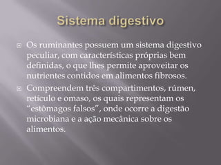 Sistema digestivoOs ruminantes possuem um sistema digestivo peculiar, com características próprias bem definidas, o que lhes permite aproveitar os nutrientes contidos em alimentos fibrosos.Compreendem três compartimentos, rúmen, retículo e omaso, os quais representam os “estômagos falsos”, onde ocorre a digestão microbiana e a ação mecânica sobre os alimentos.