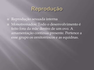 ReproduçãoReprodução sexuada internaMonotremados: Todo o desenvolvimento é feito fora da mãe dentro de um ovo. A amamentação continua presente. Pertence a esse grupo os ornitorrincos e as equidnas.