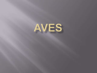 Aves