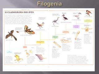 Filogenia