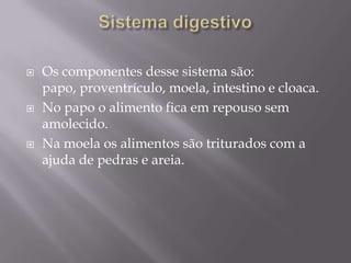 Sistema digestivoOs componentes desse sistema são: papo, proventrículo, moela, intestino e cloaca.No papo o alimento fica em repouso sem amolecido.Na moela os alimentos são triturados com a ajuda de pedras e areia.