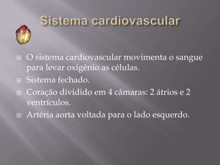 Sistema cardiovascularO sistema cardiovascular movimenta o sangue para levar oxigênio as células.Sistema fechado.Coração dividido em 4 câmaras: 2 átrios e 2 ventrículos.Artéria aorta voltada para o lado esquerdo.