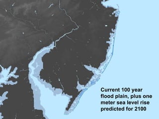 Current 100 year flood plain, plus one meter sea level rise predicted for 2100 